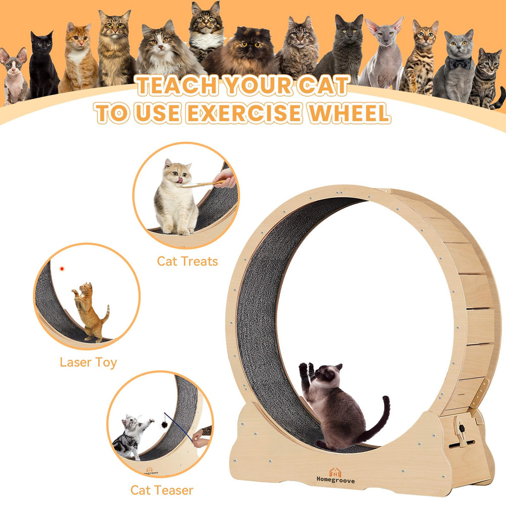 Homegroove Cat Exercise Wheel solid wood base offering durable structure for up to 110 pounds