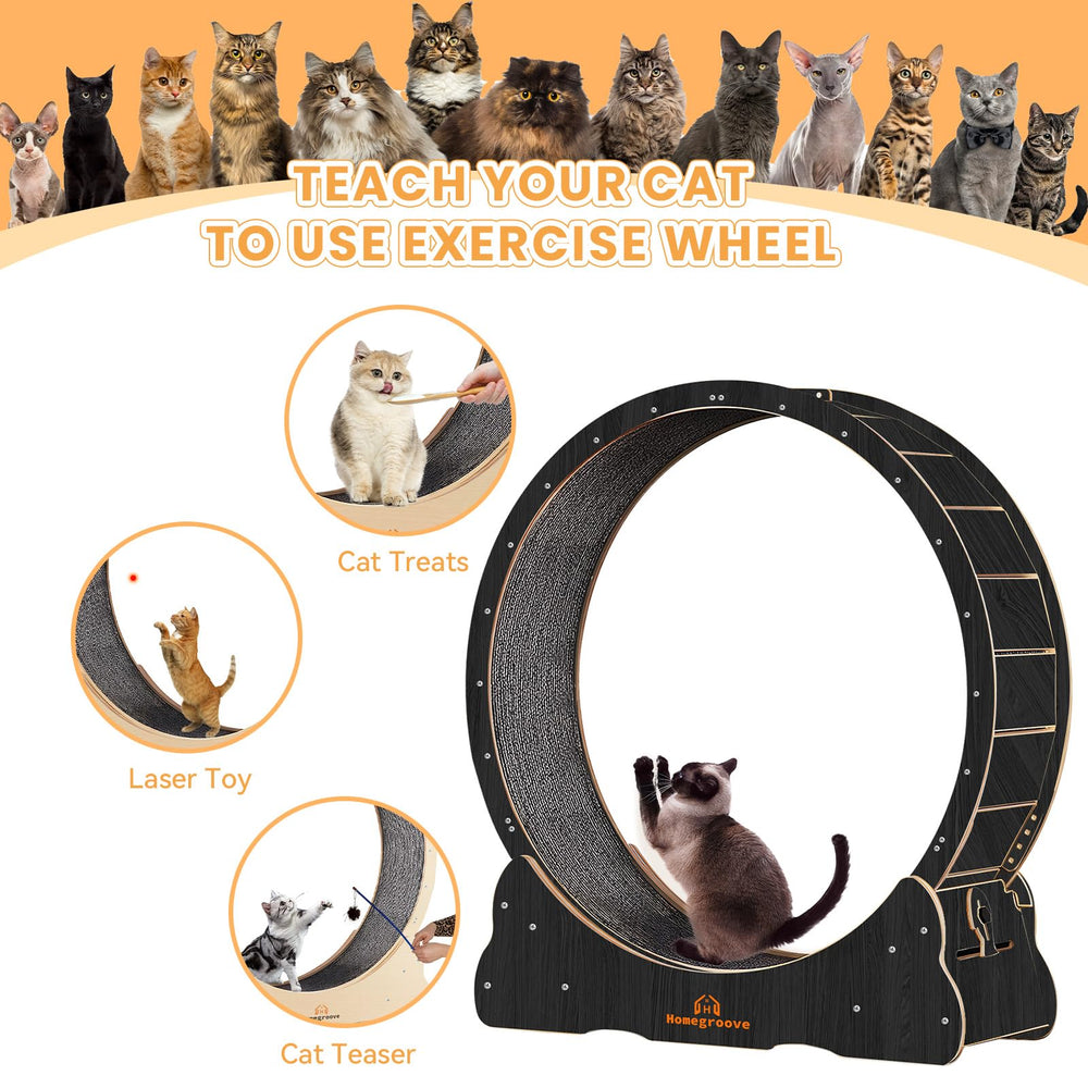 Solid wood base of Homegroove cat wheel provides sturdy support