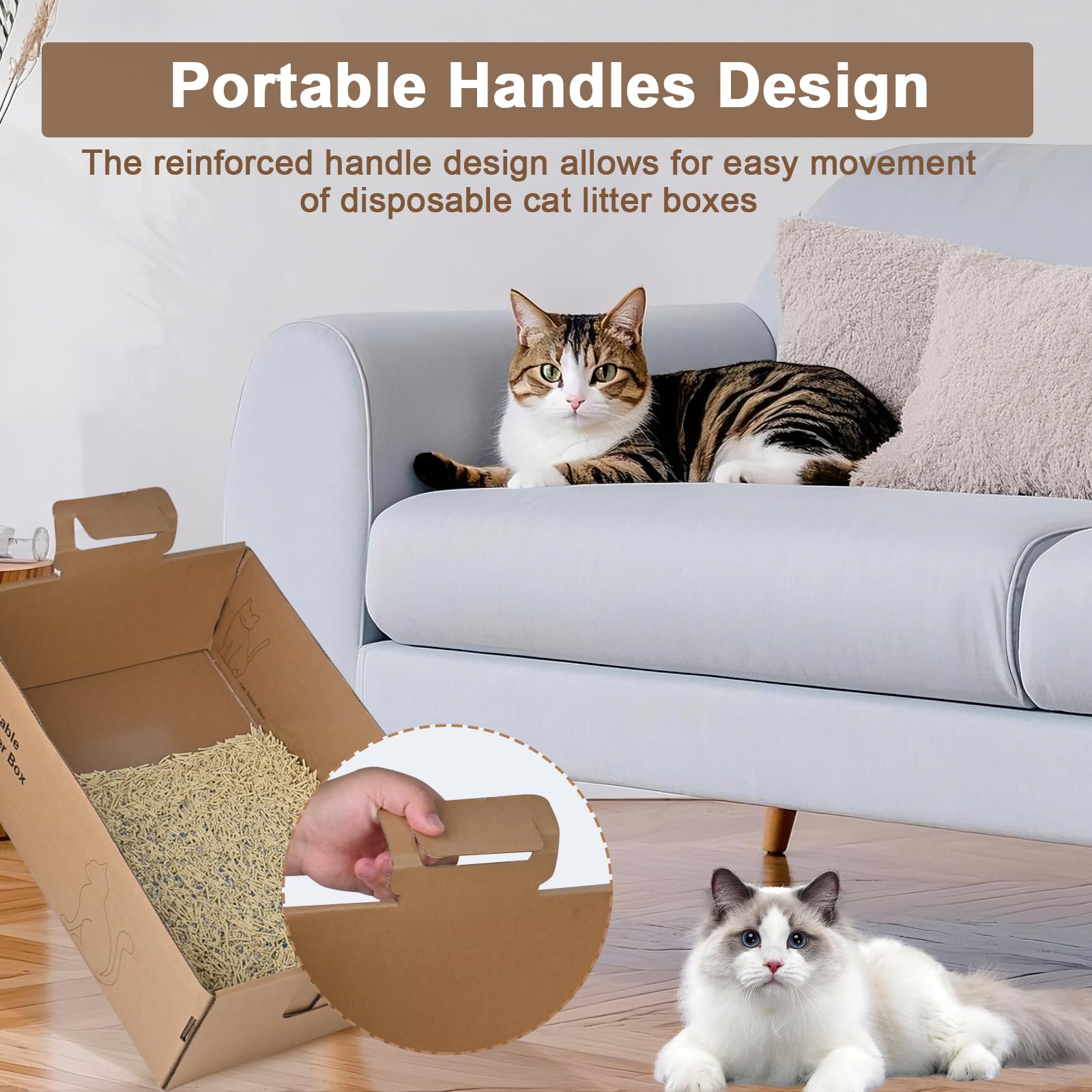 HomeGroove five-point-four-inch high sides prevent spills and litter spray.