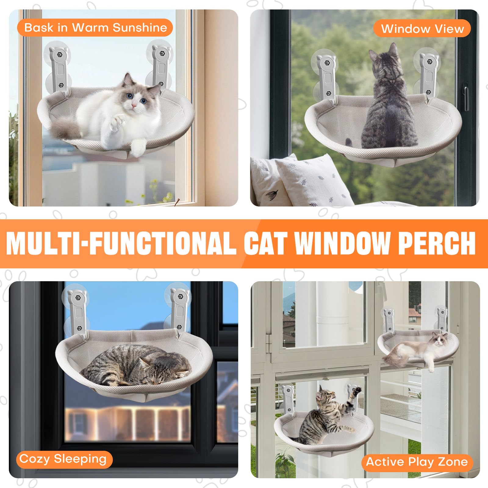 Homegroove indoor cat gazes outside, enjoying the window view.