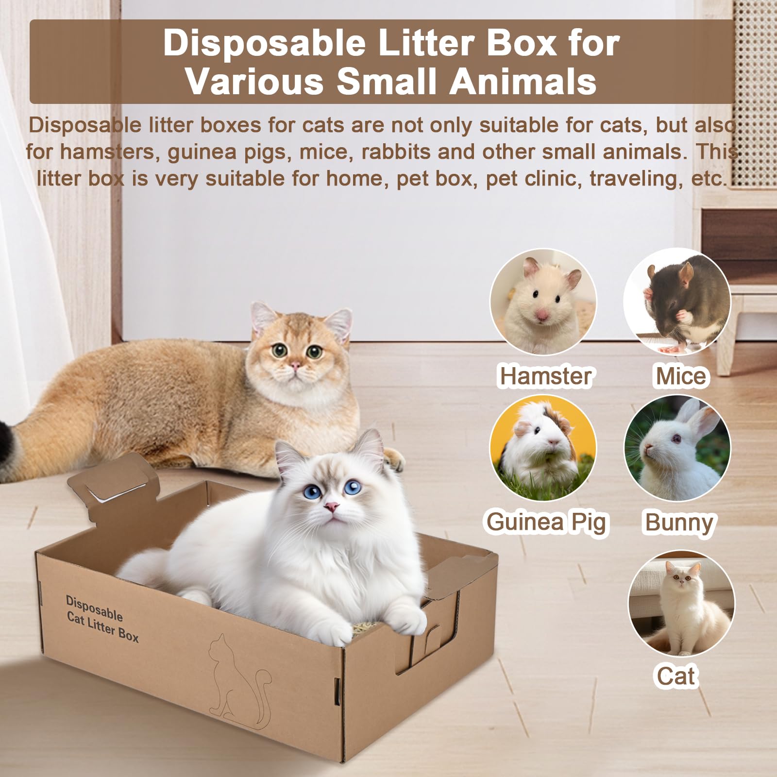 HomeGroove two-pack disposable litter boxes suit busy households and travel.