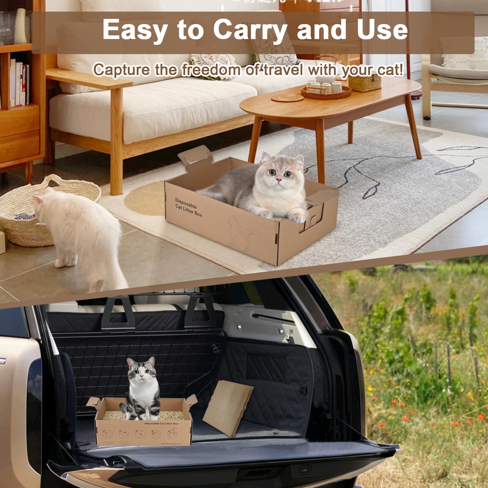 HomeGroove versatile litter box for home, clinics, and trips.