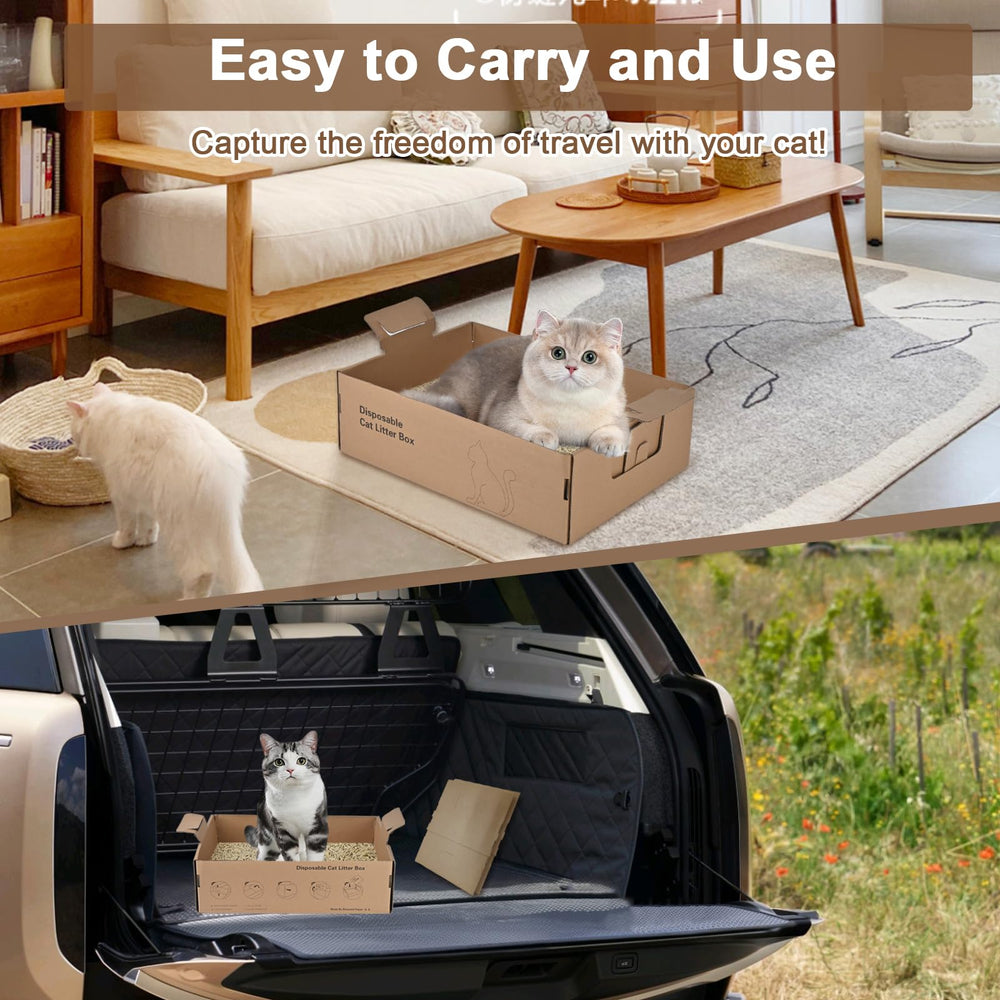 HomeGroove versatile litter box for home, clinics, and trips.