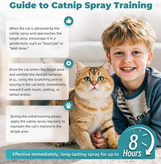HomeHom Catnip Spray revived toys spark renewed interest in play