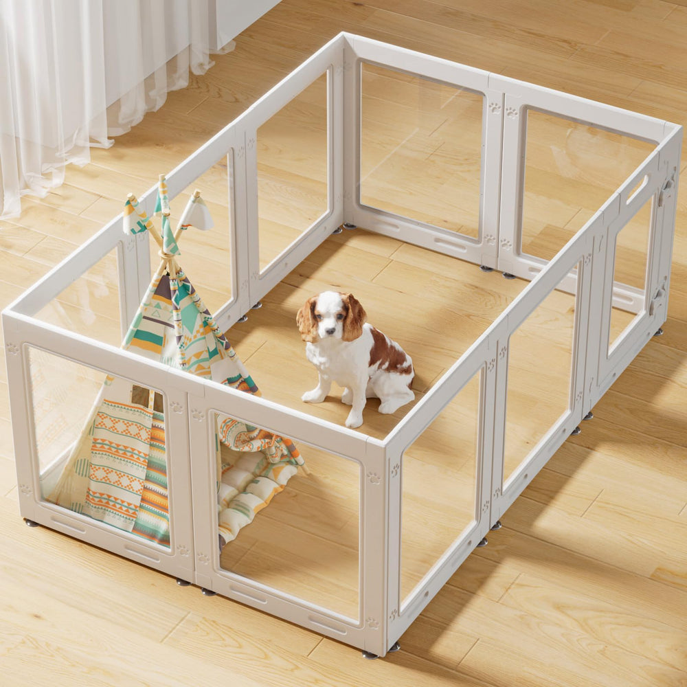 Homelio clear acrylic dog playpen with door for secure visibility