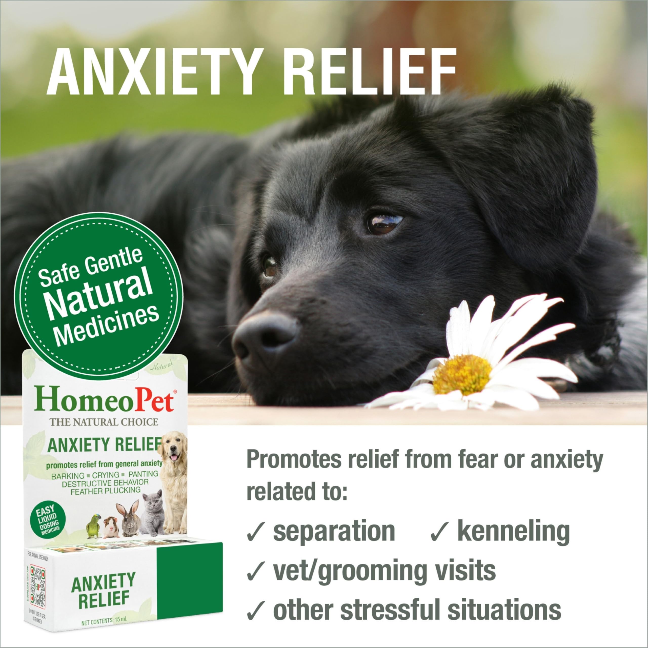 HomeoPet Anxiety Relief cat bottle for gentle calm during grooming and vet visits
