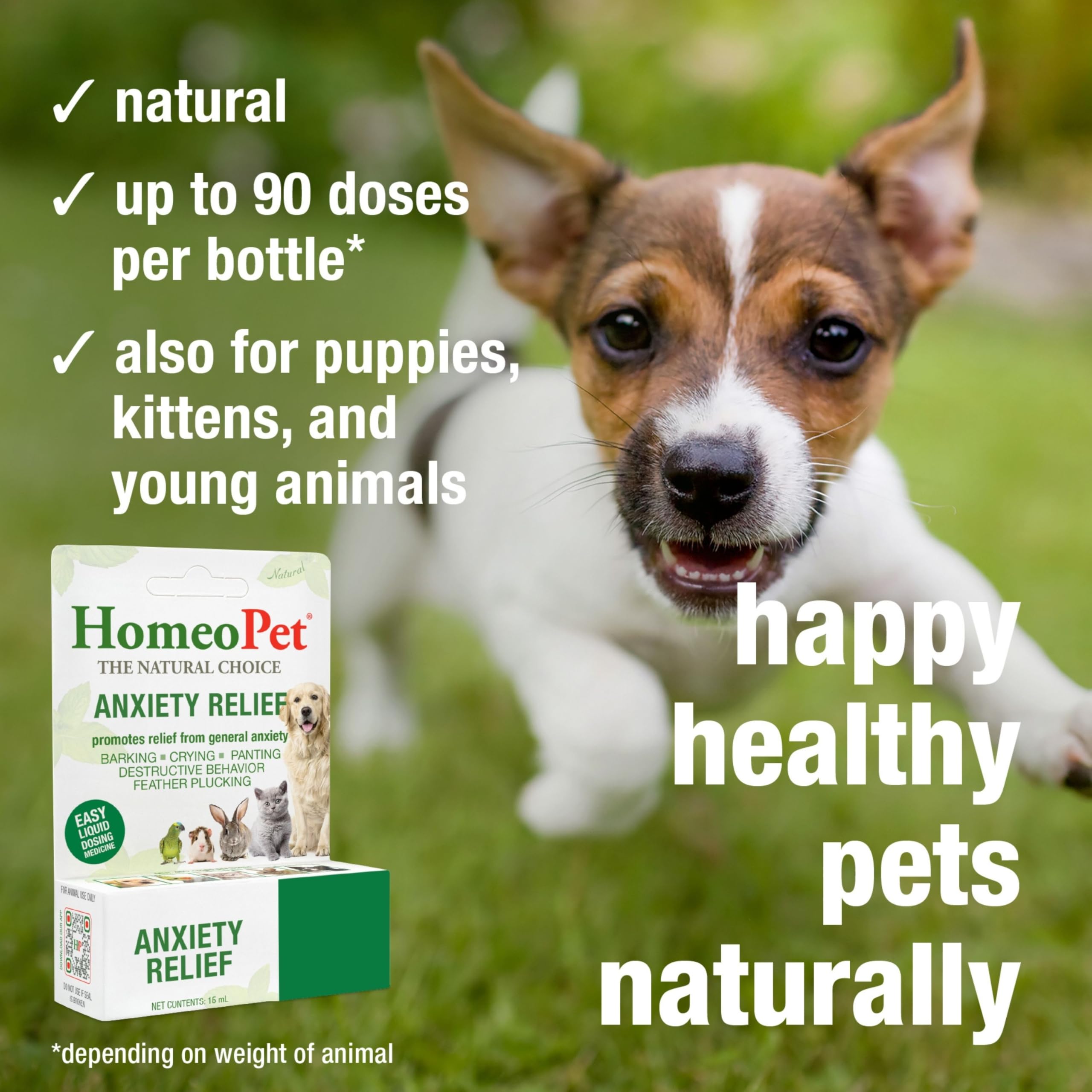 HomeoPet Anxiety Relief dosing scene showing simple administration for households