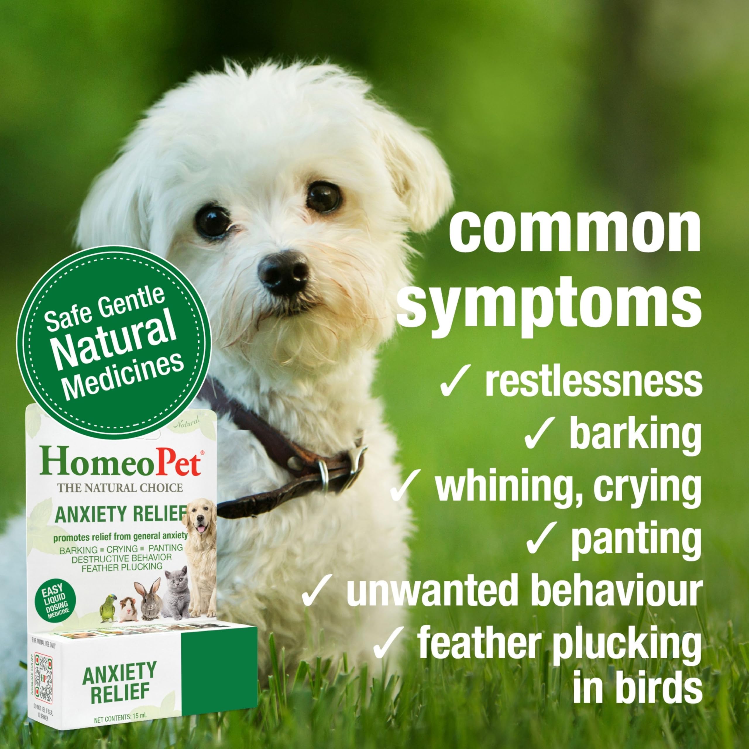 HomeoPet Anxiety Relief dropper enables precise dosing for quick calming support