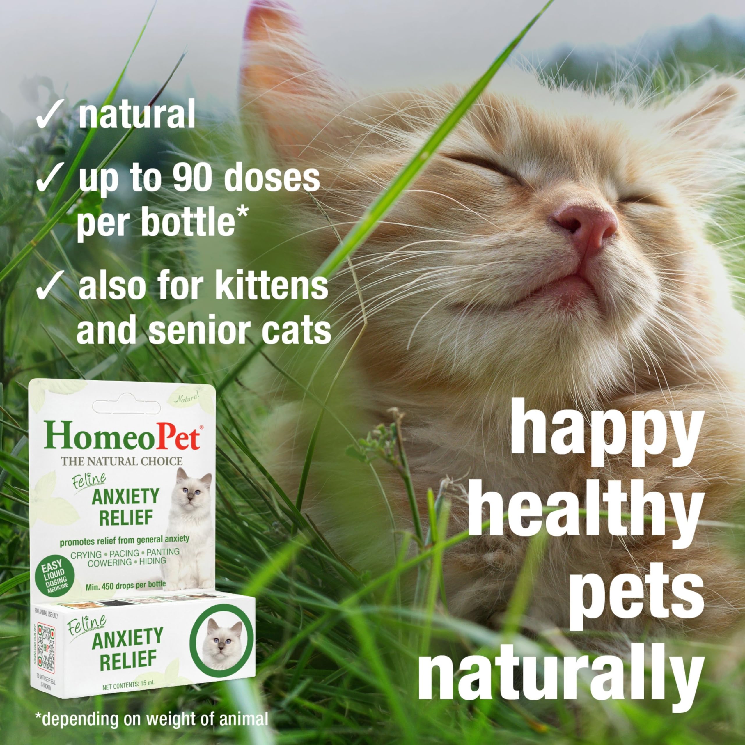 Cat experiences boarding-related stress; HomeoPet may help.
