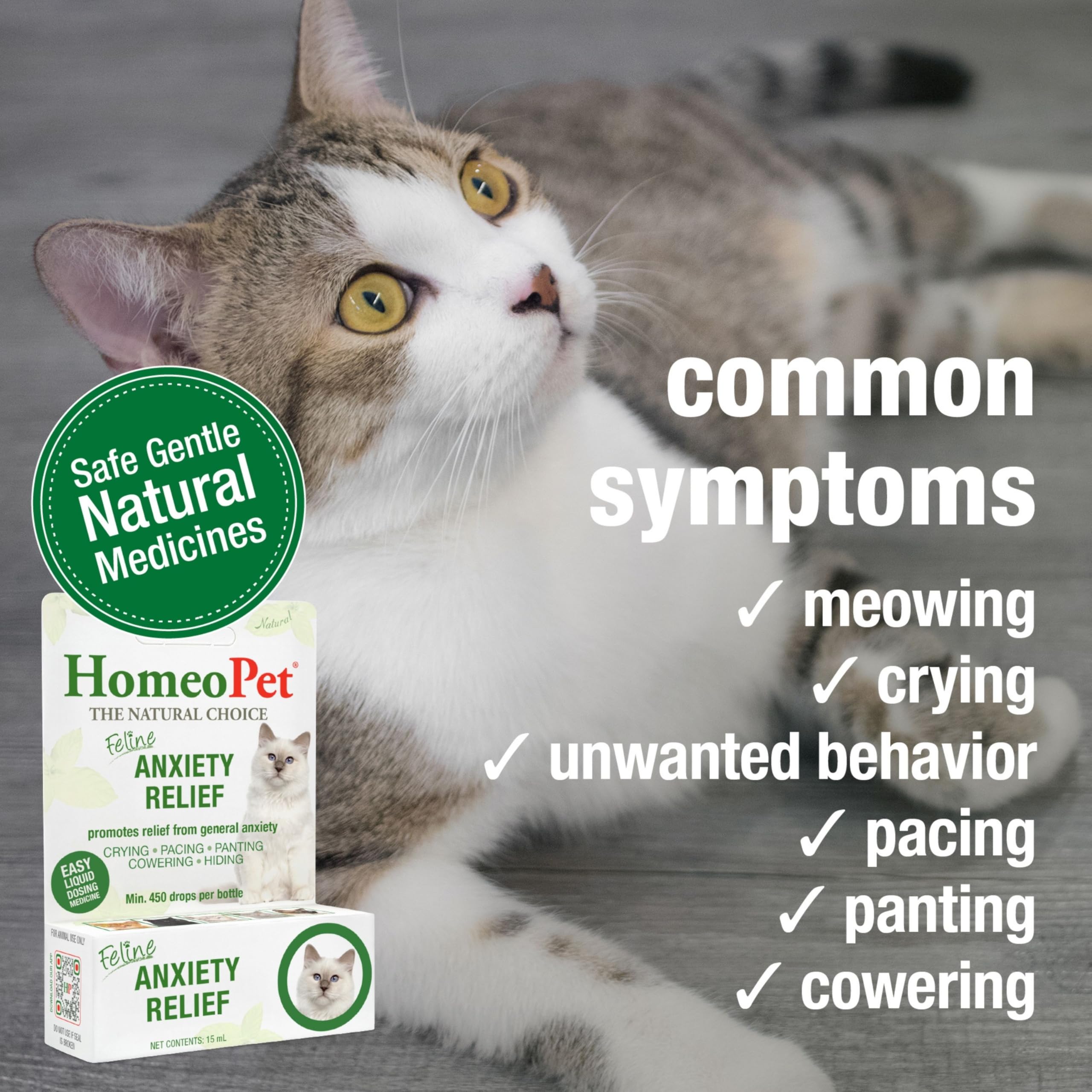 Cat drinks water with HomeoPet drops added to routine.