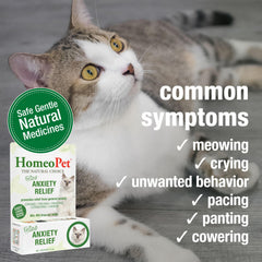 Cat drinks water with HomeoPet drops added to routine.