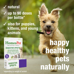 Dog dose of HomeoPet Digestive Upsets for convenient administration