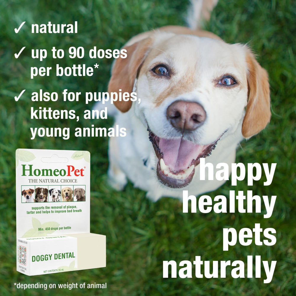 HomeoPet Doggy Dental bottle pour for easy, mess-free dosing.