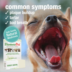 HomeoPet Doggy Dental direct application supports gentle cleaning of teeth and gums.