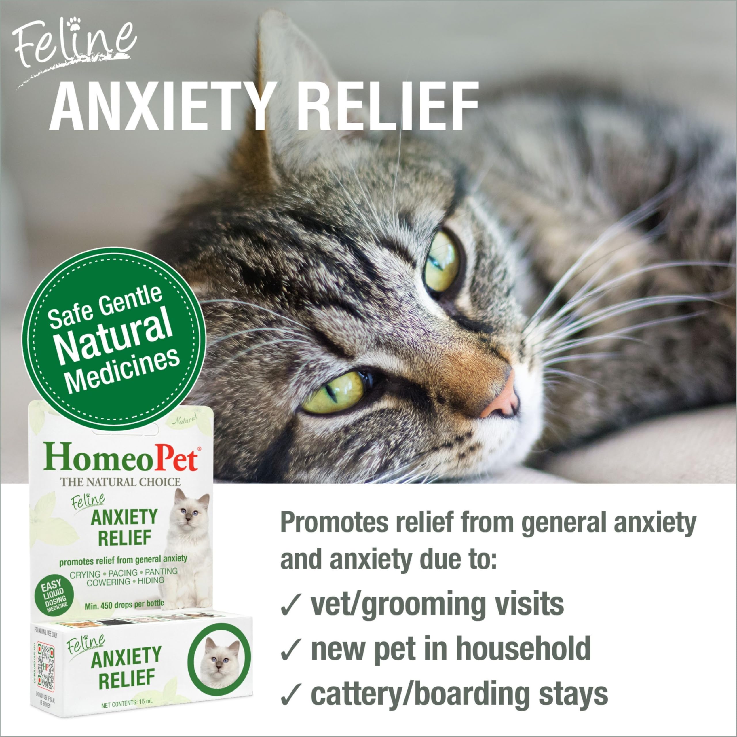 Dosing HomeoPet drops for calmer moments in cats.