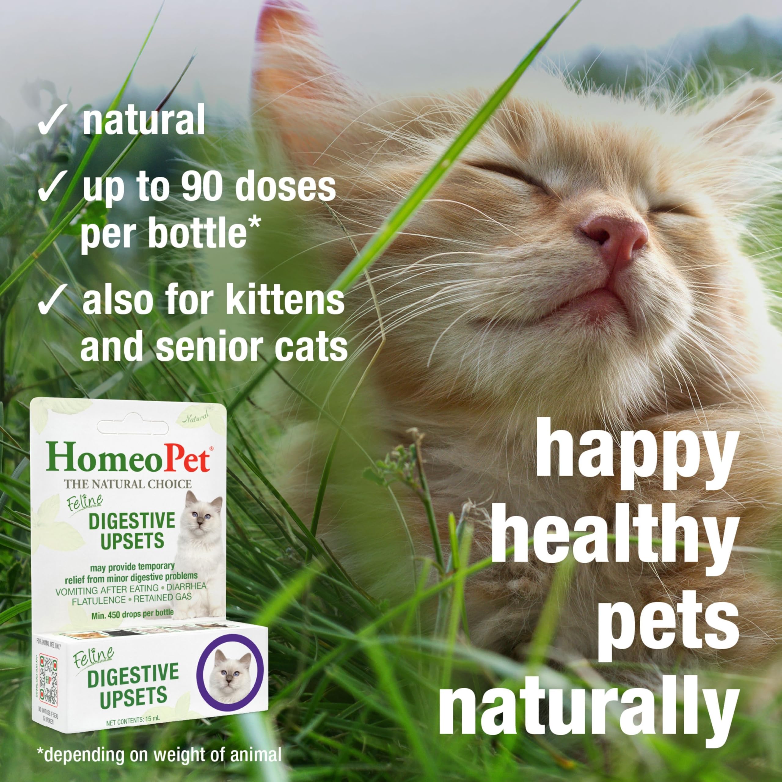 HomeoPet Feline Digestive Upsets cat-bowl scene – everyday care routine