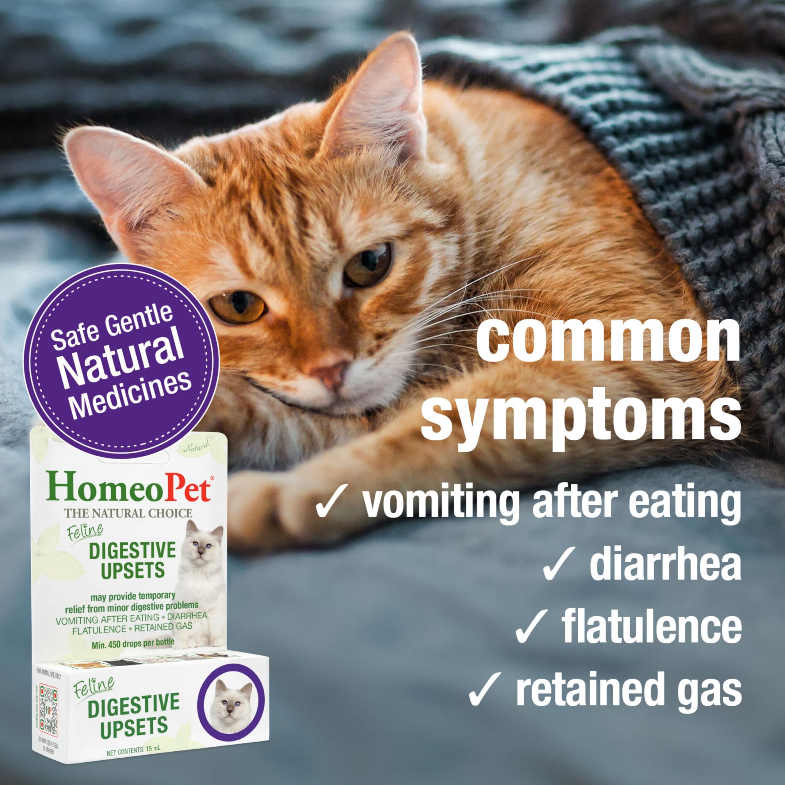 HomeoPet Feline Digestive Upsets dosing – quick administration at meals