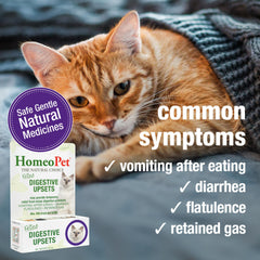 HomeoPet Feline Digestive Upsets dosing – quick administration at meals