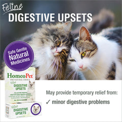 HomeoPet Feline Digestive Upsets dropper – precise administration at mealtimes