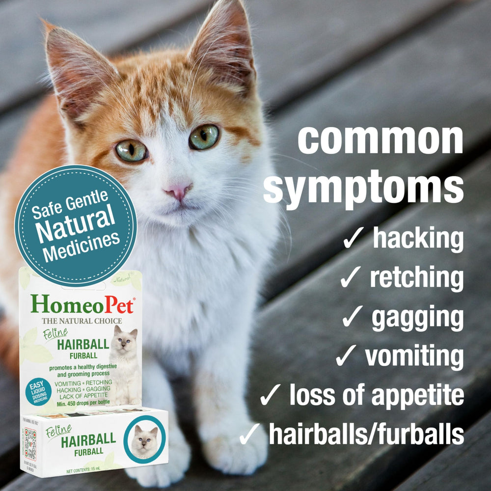 HomeoPet Drops being dosed directly into a cat's mouth