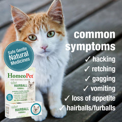HomeoPet Drops being dosed directly into a cat's mouth