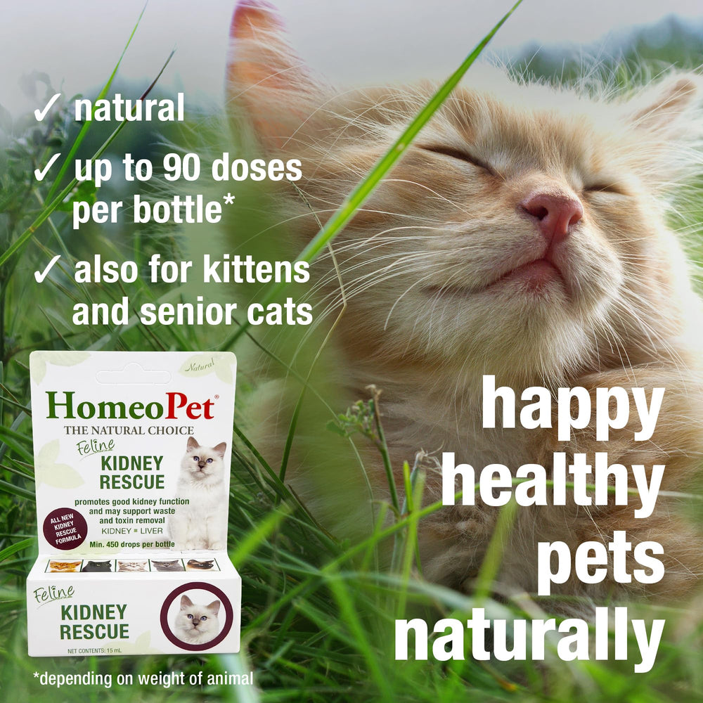 Close-up of HomeoPet Kidney Rescue label highlighting natural ingredients