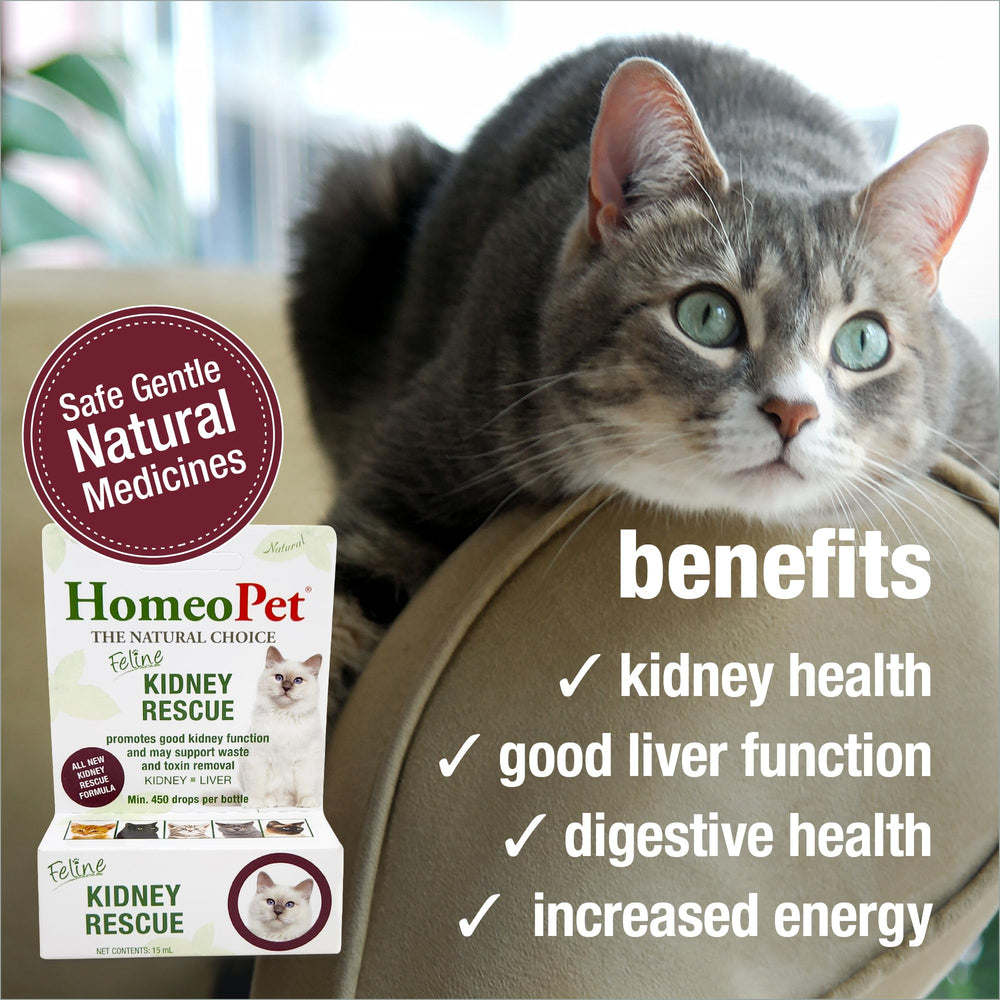 Liquid formula of HomeoPet Kidney Rescue suitable for simple daily dosing