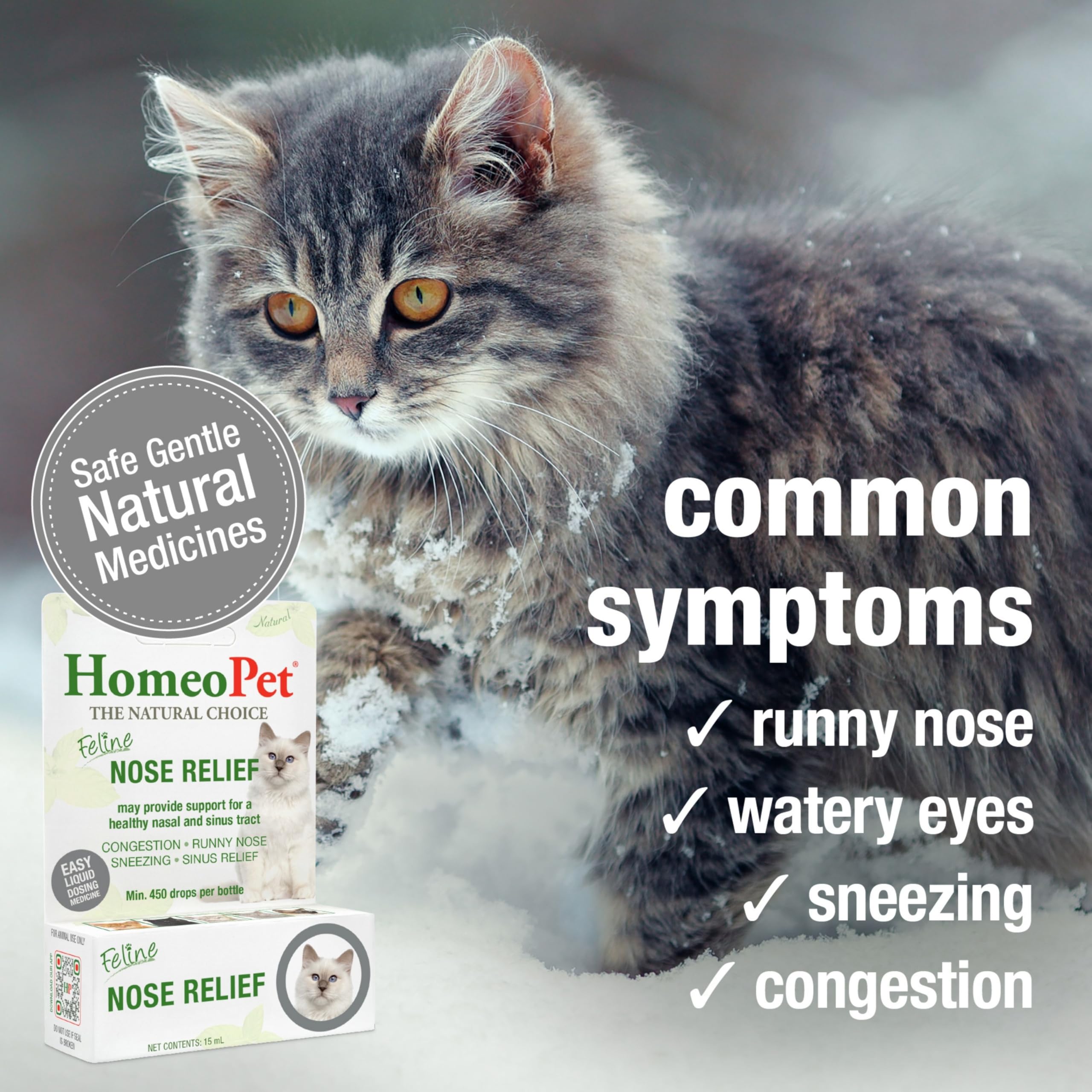 HomeoPet Feline Nose Relief used at mealtime scenario for cats.