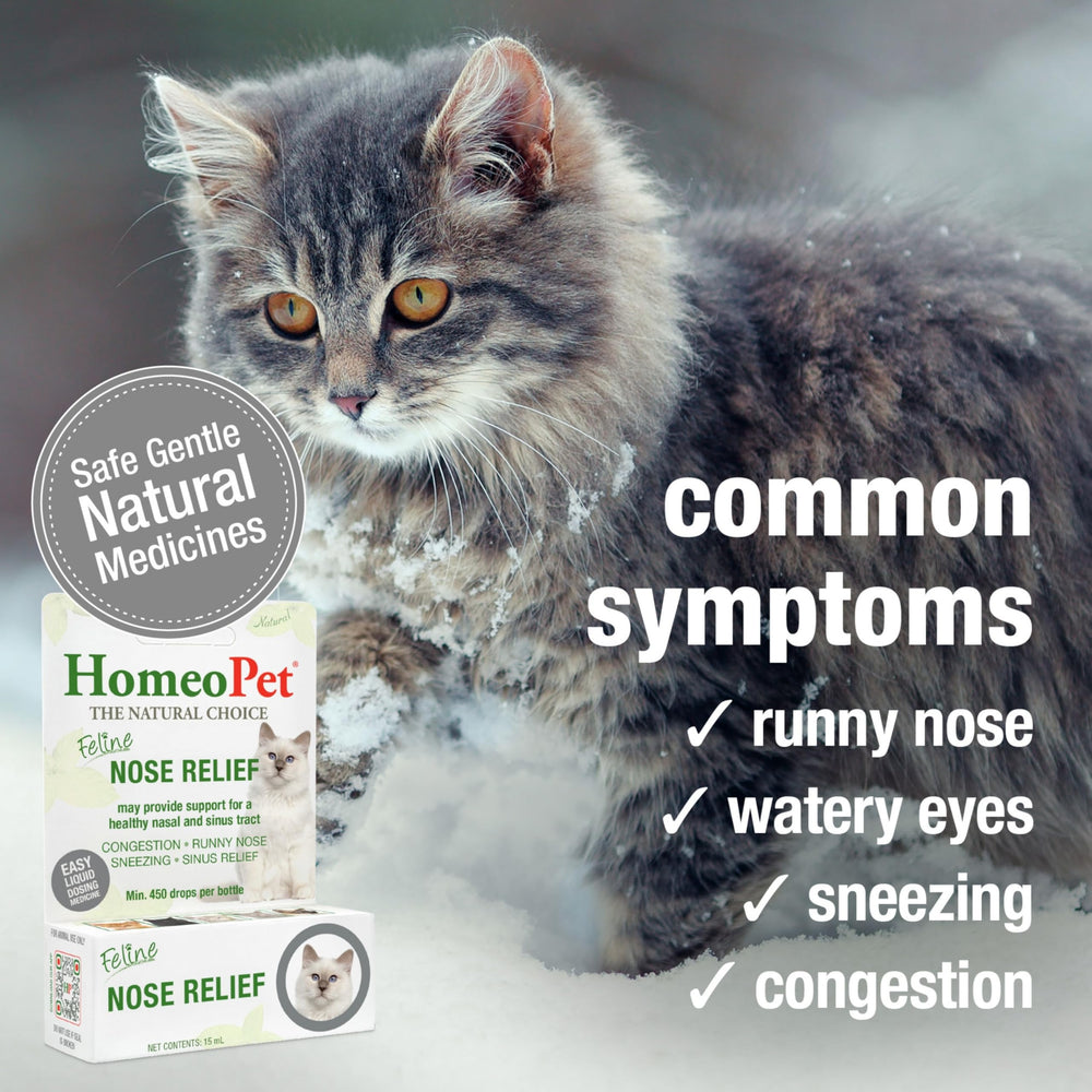 HomeoPet Feline Nose Relief used at mealtime scenario for cats.