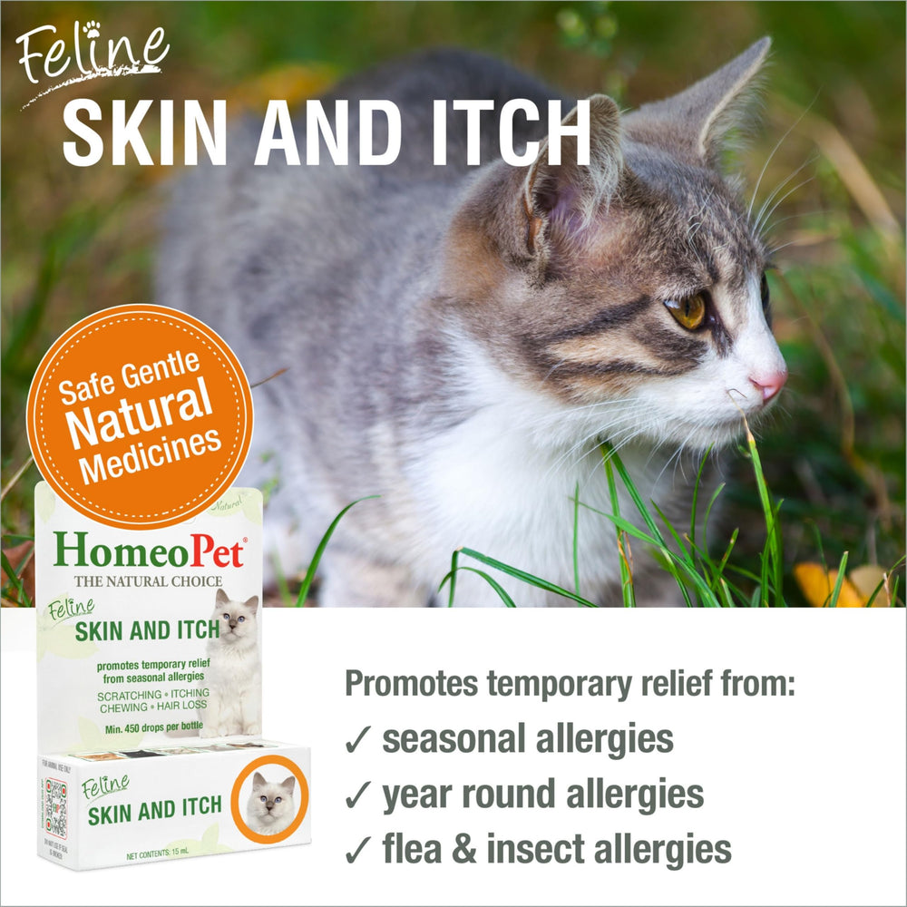 HomeoPet drops being dosed directly into a cat’s mouth for easy administration