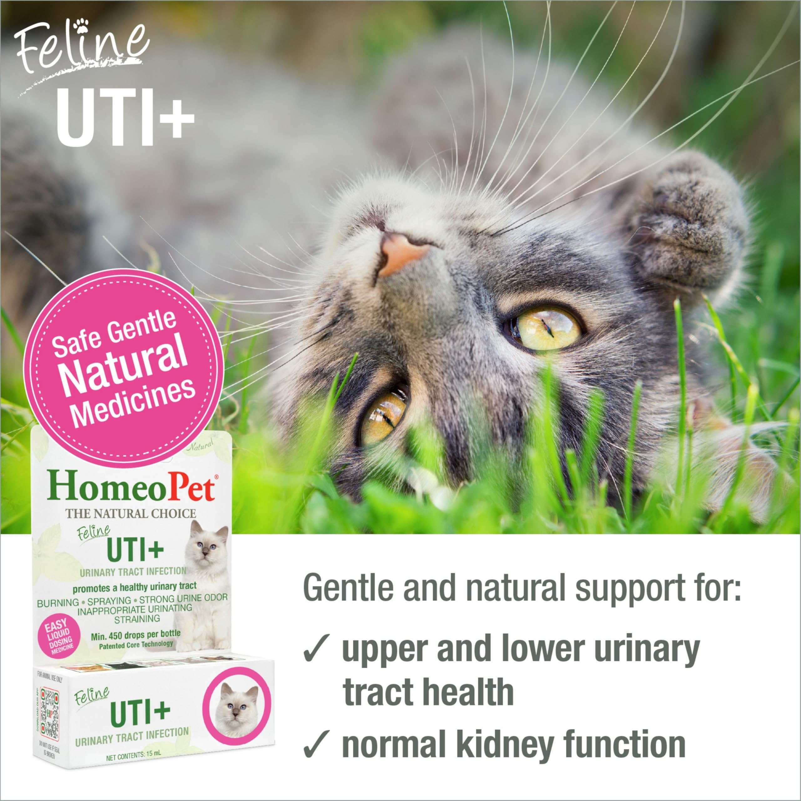 HomeoPet Feline UTI+ dropper ready for precise dosing.