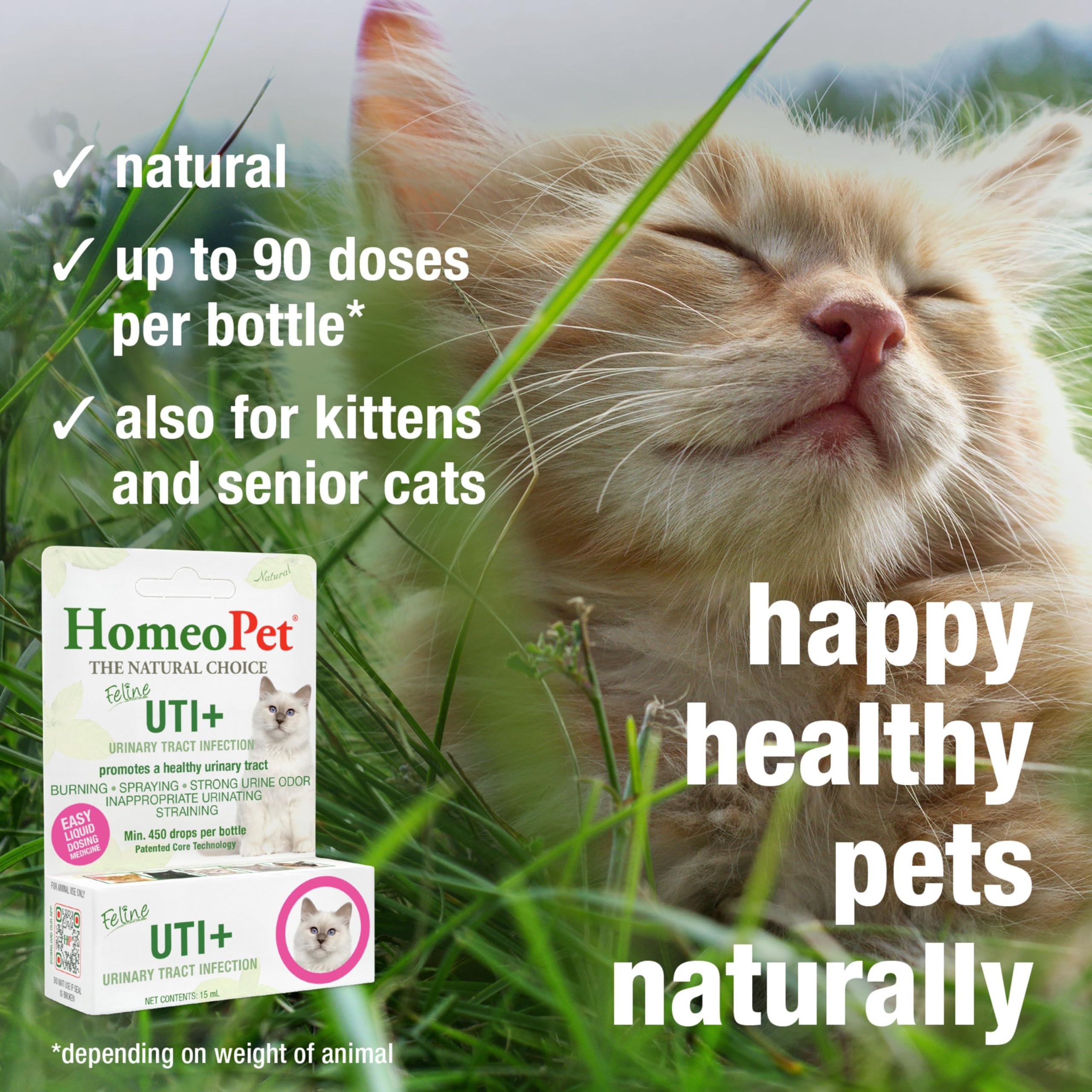 HomeoPet Feline UTI+ supports kidney function in cats.