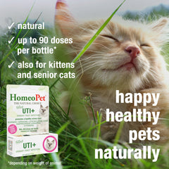 HomeoPet Feline UTI+ supports kidney function in cats.