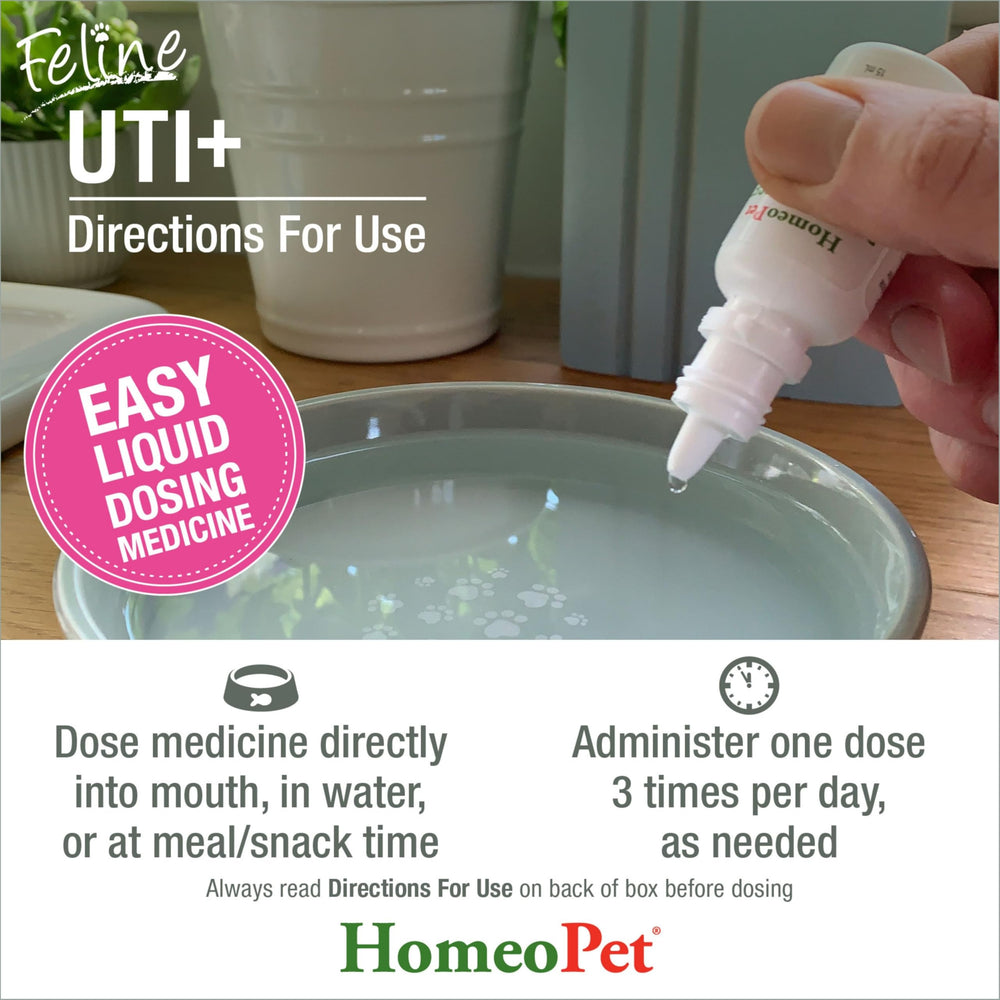 HomeoPet Feline UTI+ kitten use-friendly administration.