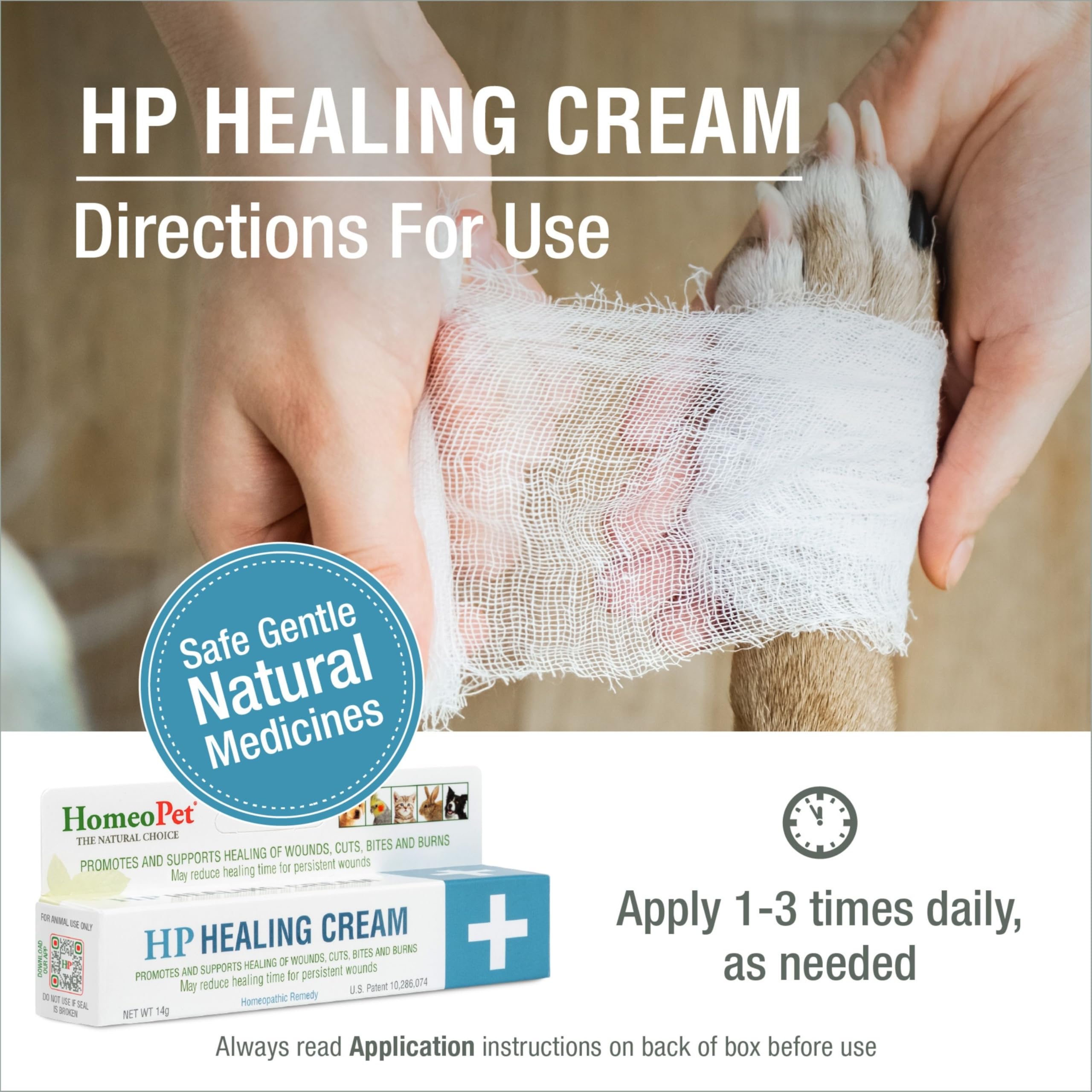 Cat and dog receiving HomeoPet HP Healing Cream on a minor wound.