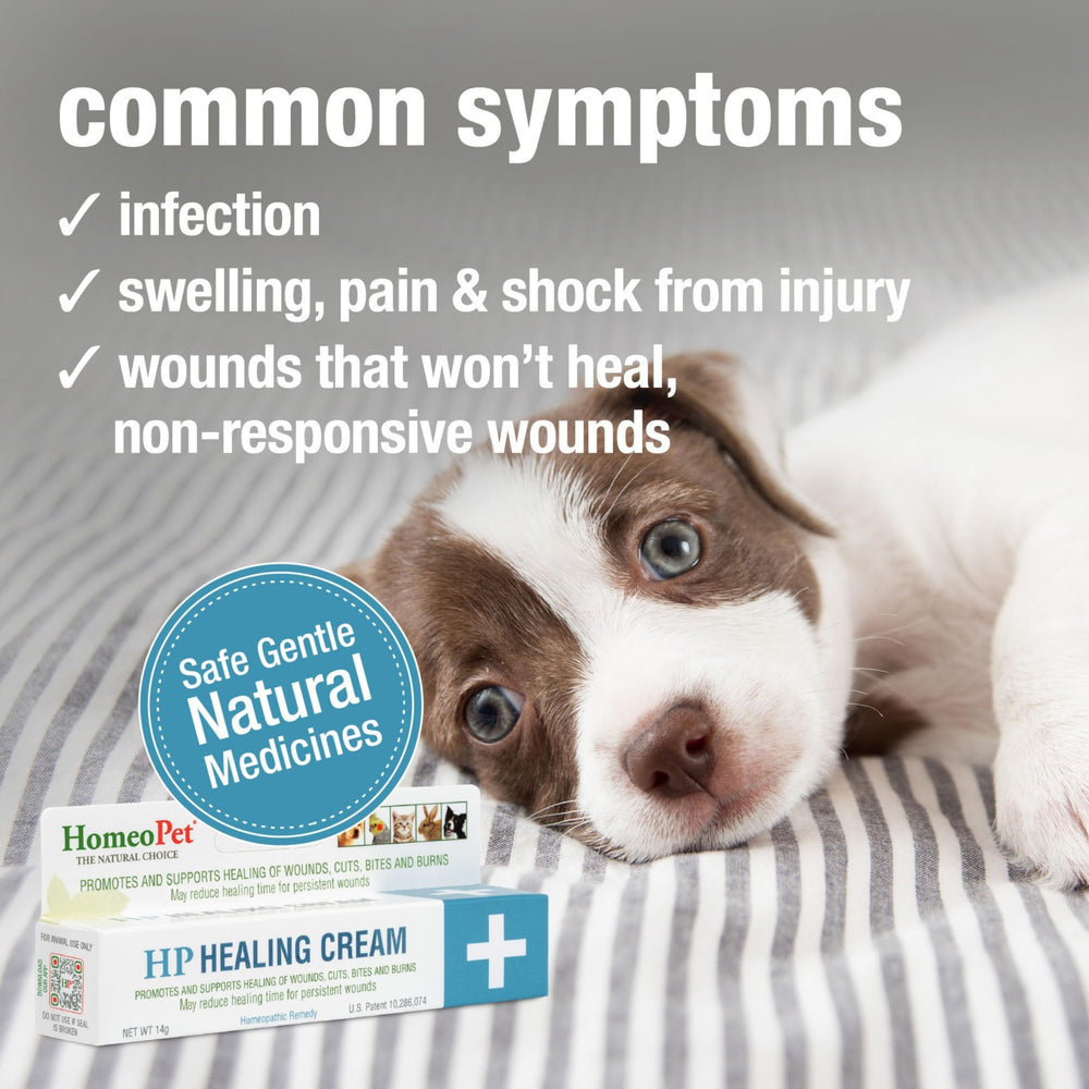 Packaging and label of HomeoPet HP Healing Cream.