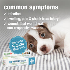 Packaging and label of HomeoPet HP Healing Cream.