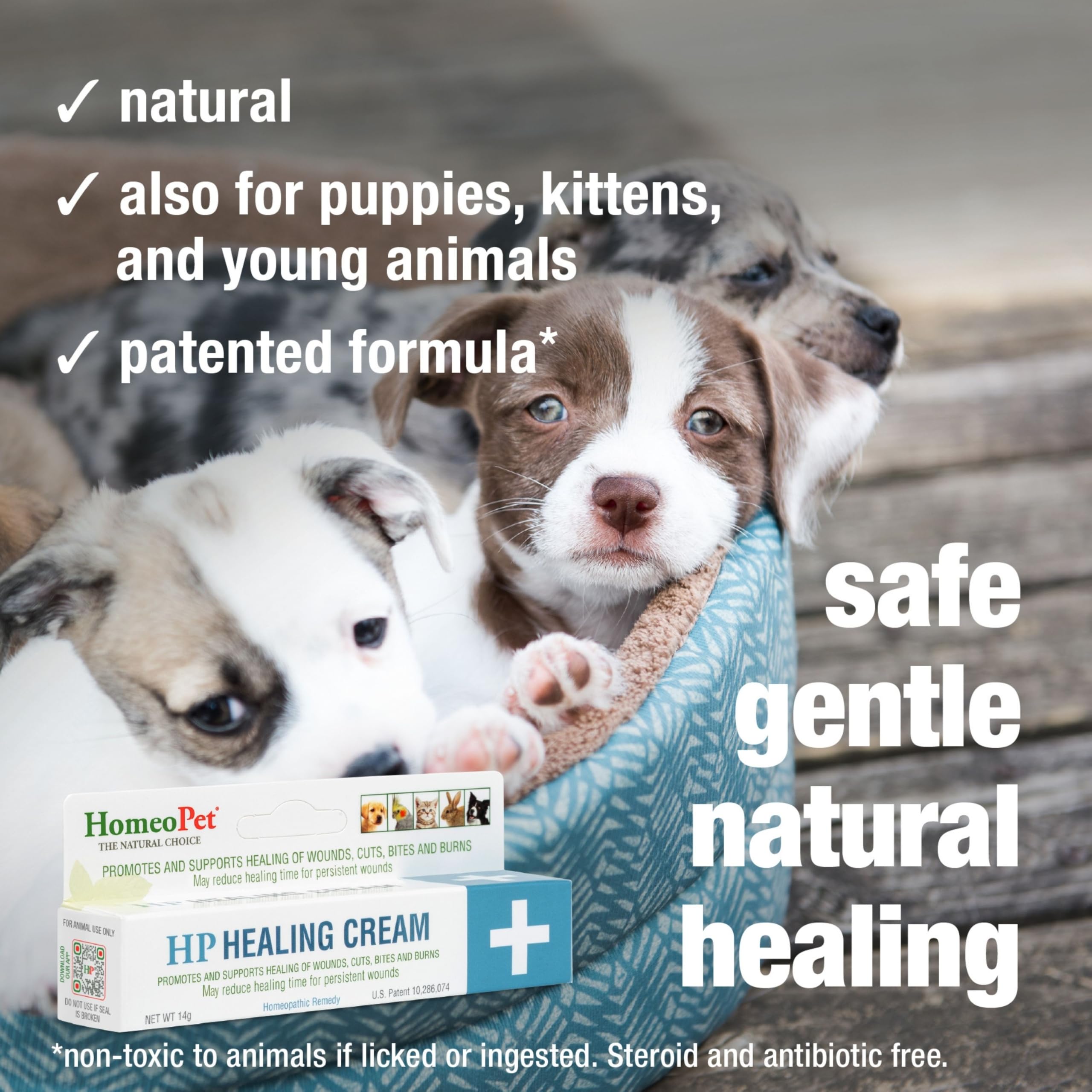 Close-up of the HomeoPet HP Healing Cream tube for daily use.
