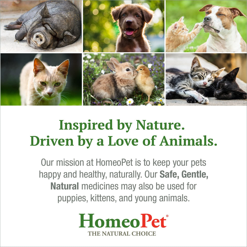 Natural ingredients highlight HomeoPet Joint Stress as a gentle option.