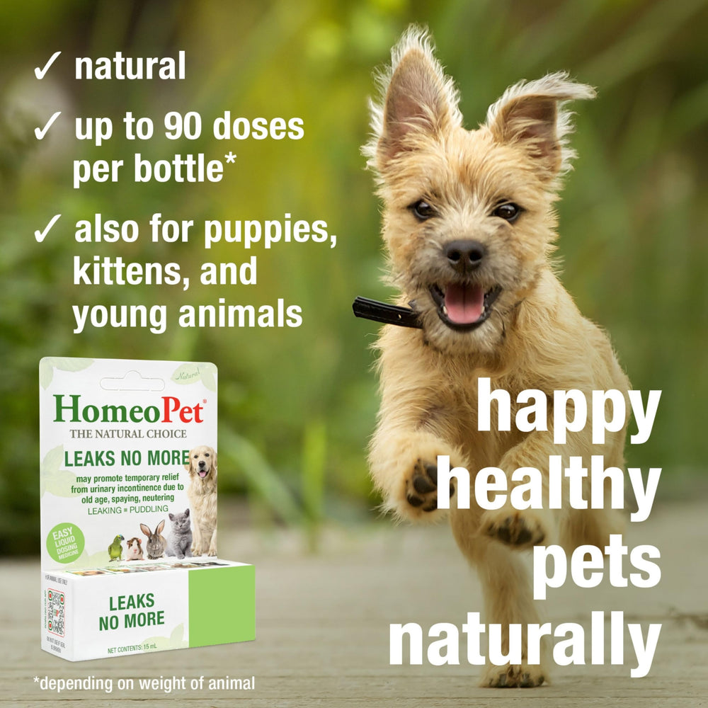 HomeoPet Leaks No More dog and cat usage scene demonstrates urinary support options.