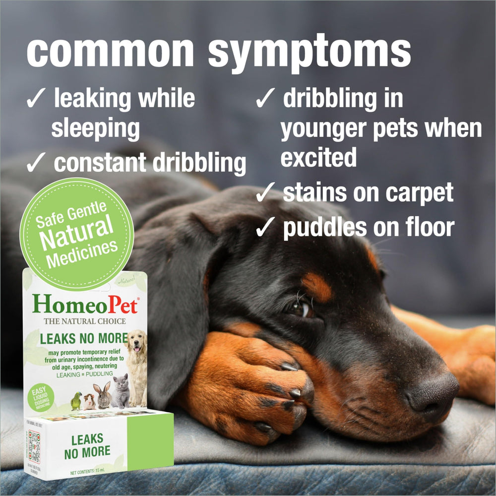 HomeoPet Leaks No More liquid suspension highlights simple three-times-daily dosing for pets.