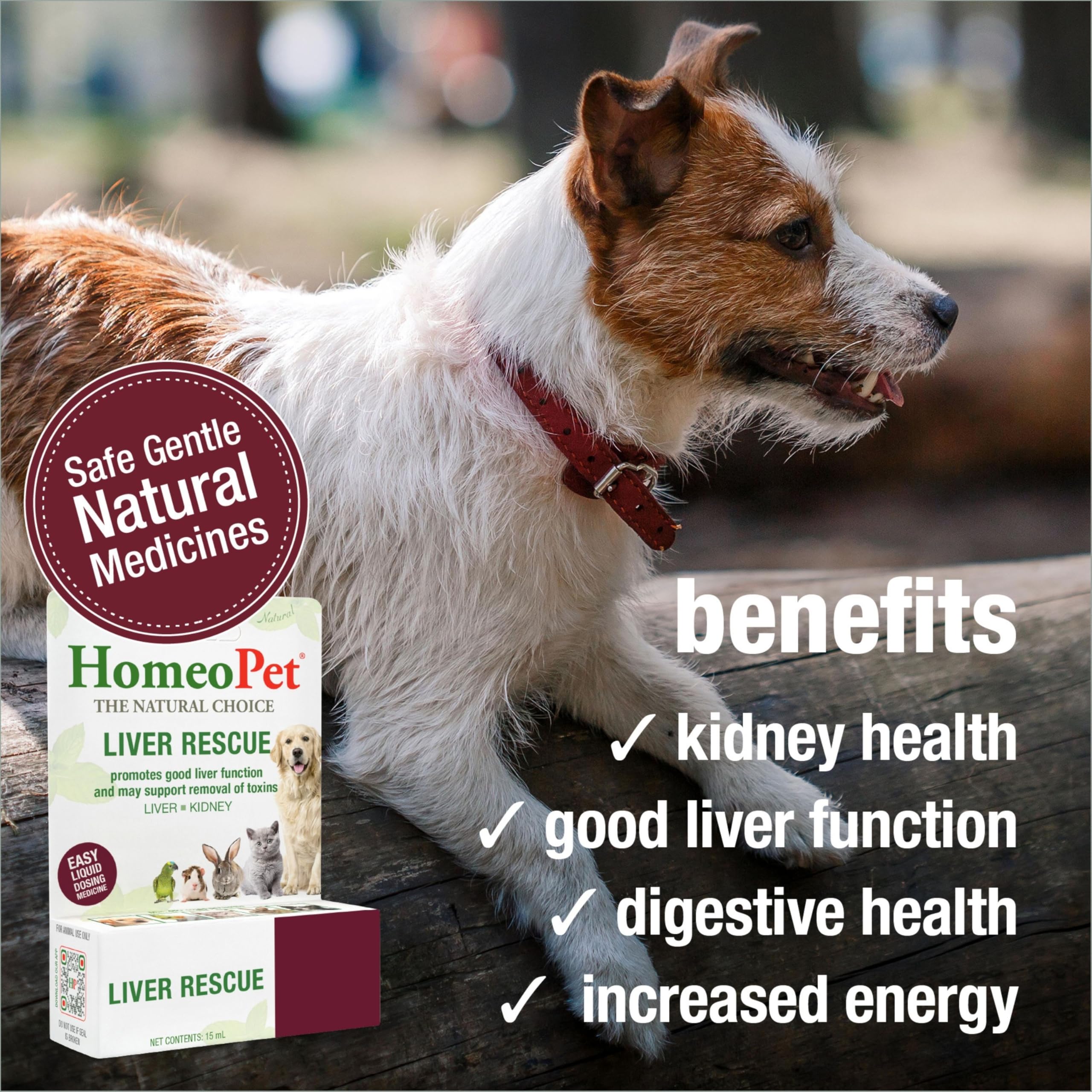 HomeoPet Liver Rescue dosing in mouth demonstrates easy administration for pets.