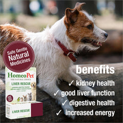 HomeoPet Liver Rescue dosing in mouth demonstrates easy administration for pets.