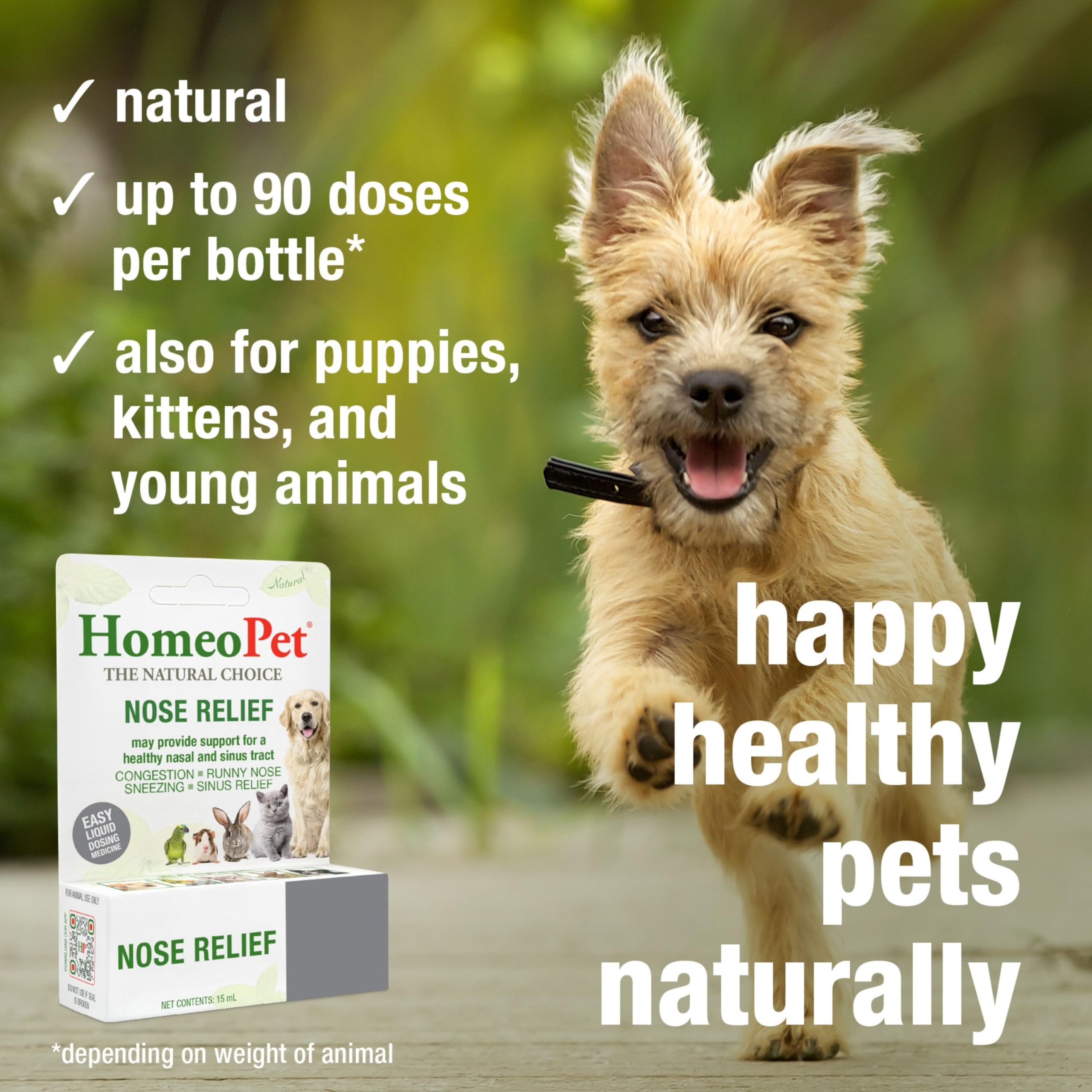 HomeoPet Nose Relief dosing into mouth for convenient use