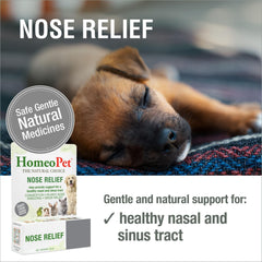 HomeoPet Nose Relief dropper application enabling quick administration