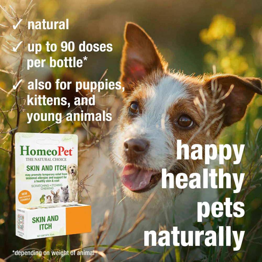 HomeoPet Skin and Itch dog and cat usage scene shows versatile pet care.