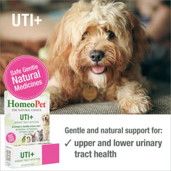 HomeoPet UTI+ dropper-dispense showing direct dosing option for pets.