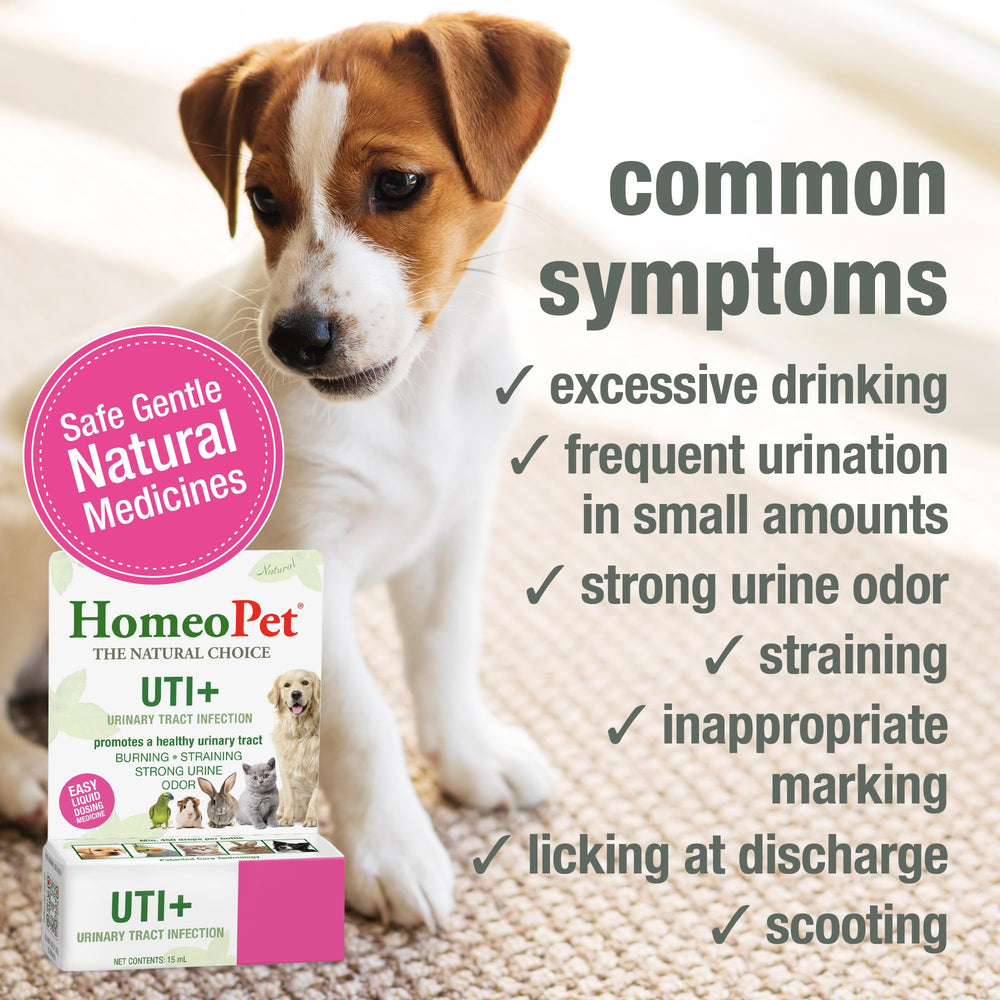 HomeoPet UTI+ label-closeup with natural formula details.