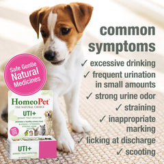 HomeoPet UTI+ label-closeup with natural formula details.