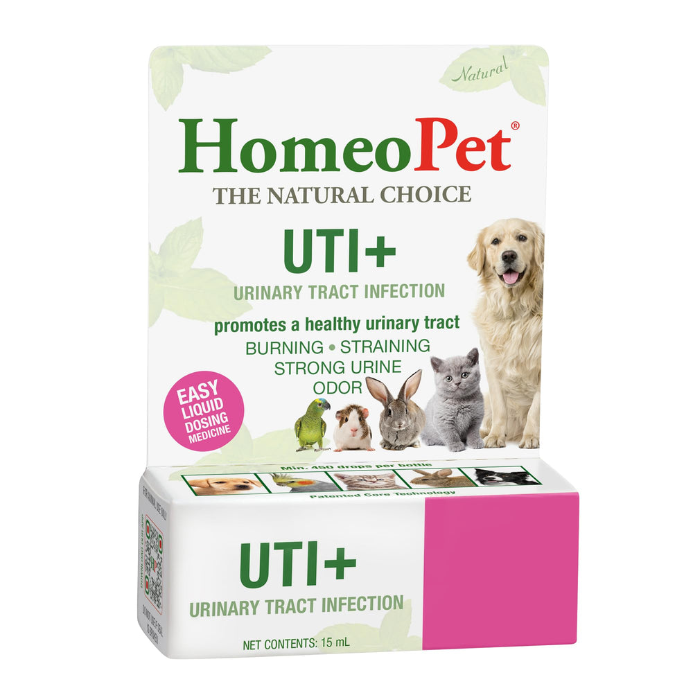 HomeoPet UTI+ natural-formula close-up highlights gentle ingredients.